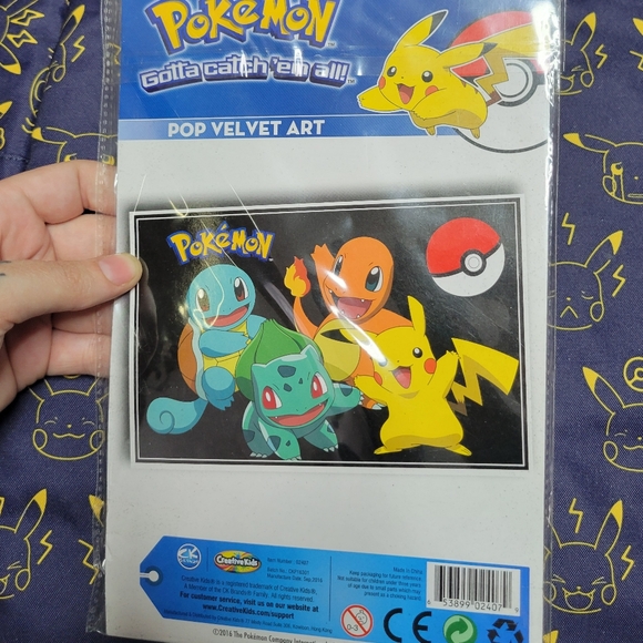 Pokemon Craft Packs - Picture 6 of 7